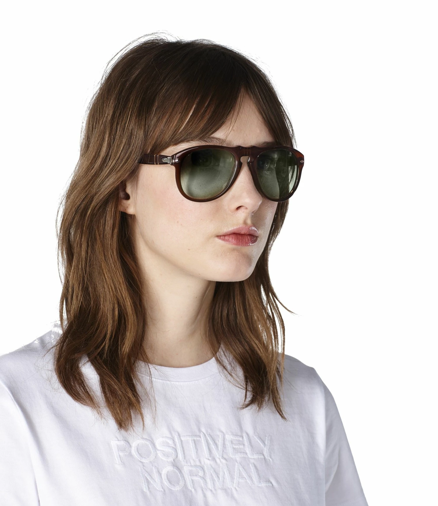 A.P.C. Nut Brown Persol Sunnies Sunglasses 7 A.P.C. Nut Brown Persol Sunnies Sunglasses